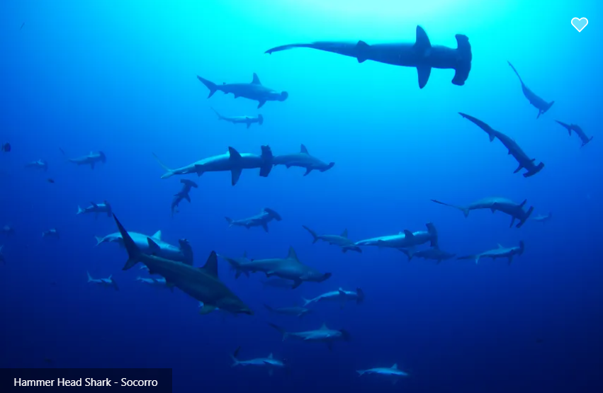 Valentina Liveaboard Image