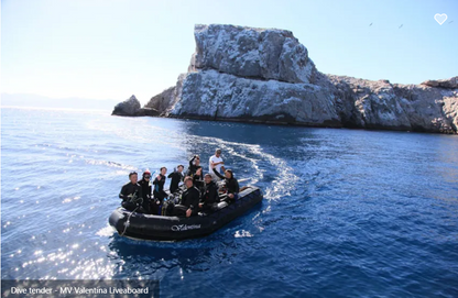 Valentina Liveaboard