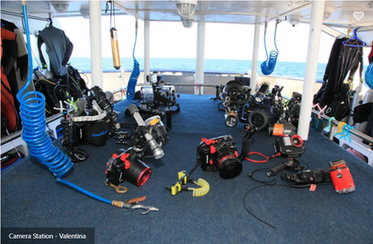 Valentina Liveaboard