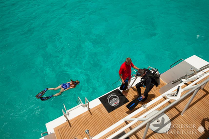 Bahamas Aggressor