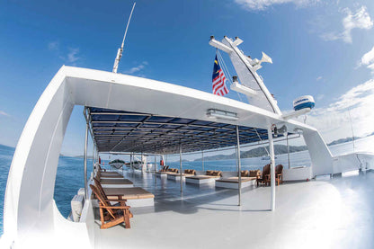 White Manta