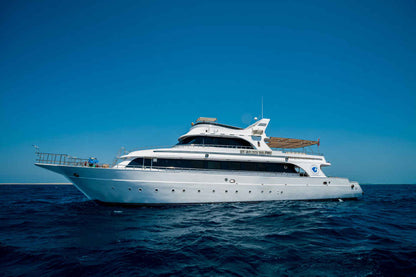 Golden Dolphin