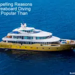 10 Compelling Reasons Why Liveaboard Diving Holidays Are Popular