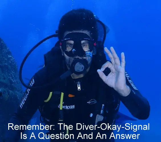 Remembering that the diver-okay-signal is a question and an answer