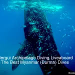 Mergui Archipelago Diving Liveaboard – The Best Myanmar or Burma Dives
