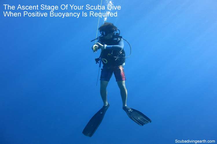 The ascent stage of your scuba dive - when positive buoyancy is required