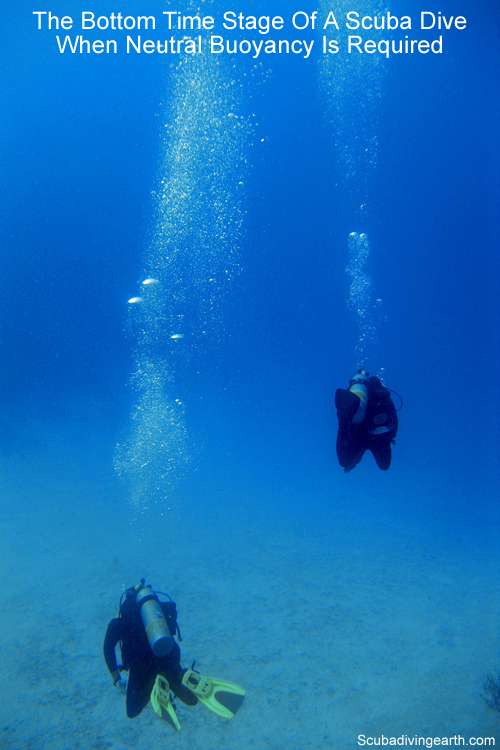 The bottom time stage of a scuba dive - when neutral buoyancy is required