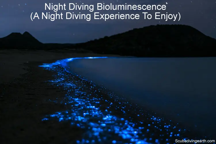 Night Diving Bioluminescence - A Night Diving Experience To Enjoy
