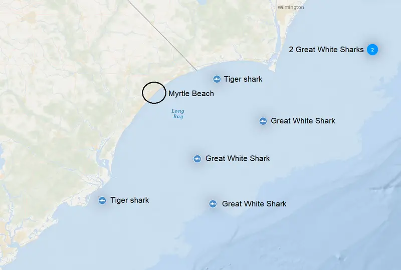 Are sharks common at Myrtle Beach - Mytle Beach Map with shark sightings