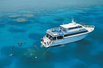 Australia Pro Dive Cairns Liveaboard Review