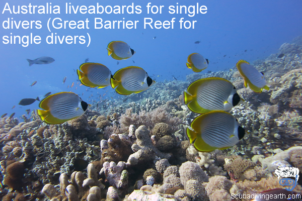 Australia liveaboards for single divers - Great Barrier Reef for single divers