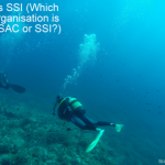 BSAC vs SSI - Which diving organisation is better BSAC or SSI smaller