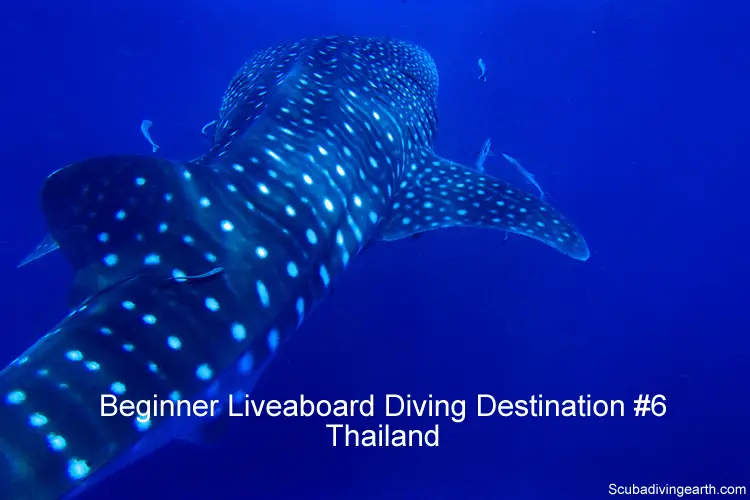 Beginner Liveaboard Diving Destination #6 - Thailand