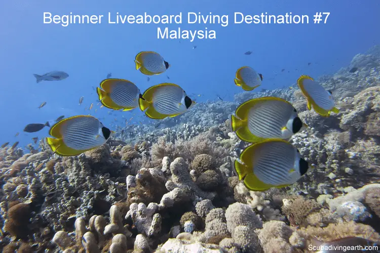 Beginner Liveaboard Diving Destination #7 - Malaysia