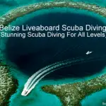 Belize Liveaboard Scuba Diving - Stunning Scuba Diving For All Levels small