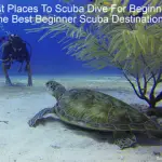 Best Places To Scuba Dive For Beginners - The Best Beginner Scuba Destinations small