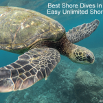 Best Shore Dives In Bonaire - Easy unlimited shore diving Bonaire small