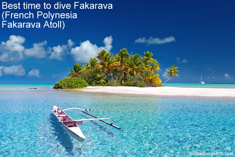 Best time to dive Fakarava - French Polynesia Fakarava Atoll