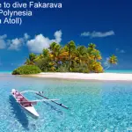 Best time to dive Fakarava - French Polynesia Fakarava Atoll small