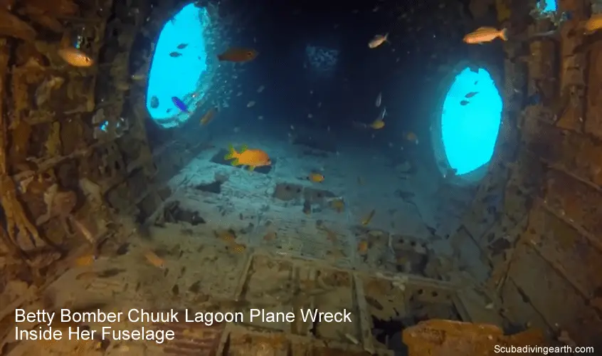 Betty Bomber Chuuk Lagoon Plane Wreck Inside Her Fuselage