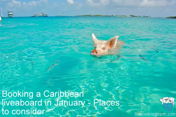 Booking a Caribbean liveaboard in January - Places to consider