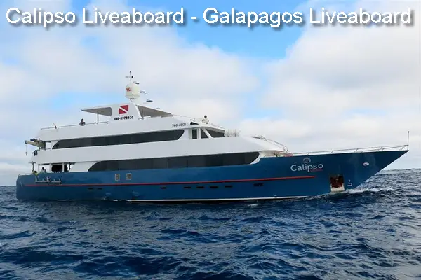 Calipso Liveaboard - Galapagos liveaboard