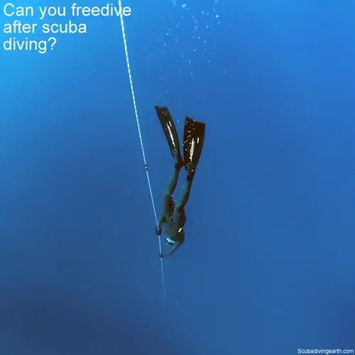 Can you freedive after scuba diving