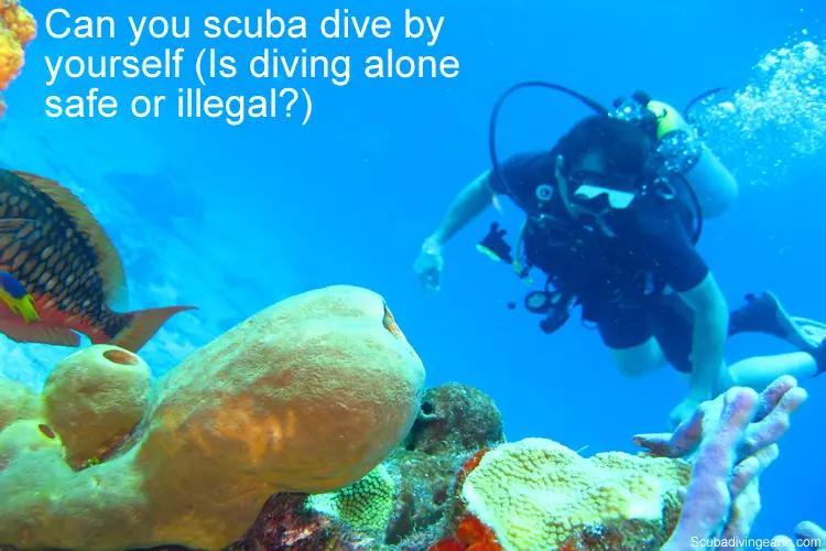 Can you scuba dive by yourself - Is diving alone safe or illegal large
