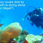 Can You Scuba Dive By Yourself? (Is Diving Alone Safe or Illegal?)