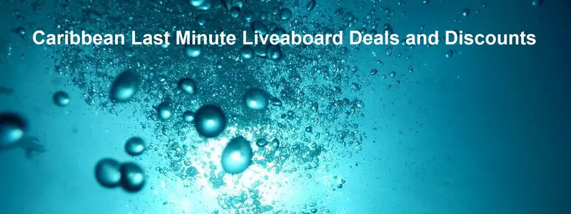 Caribbean last minute liveaboard deals and discounts