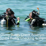 Diving Buddy Check Acronym - Why Scuba Buddy Checking Is Important small