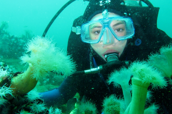 Diving neoprene diving hood