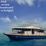 Maldives MV Emperor Atoll Review (Superb Liveaboard Diving On a Budget)