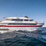 Red Sea Liveaboards With Single Cabins - MY Red Sea Emperor Echo Liveaboard