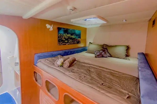 Features of Australia Shore Thing Catamaran cabin and deck - double cabin