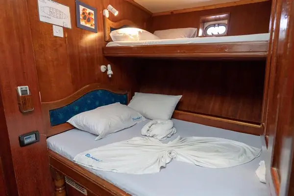 Features of Maldives Eco Blue liveaboard cabin review
