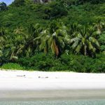 Fiji-Liveaboard-Diving-Wide