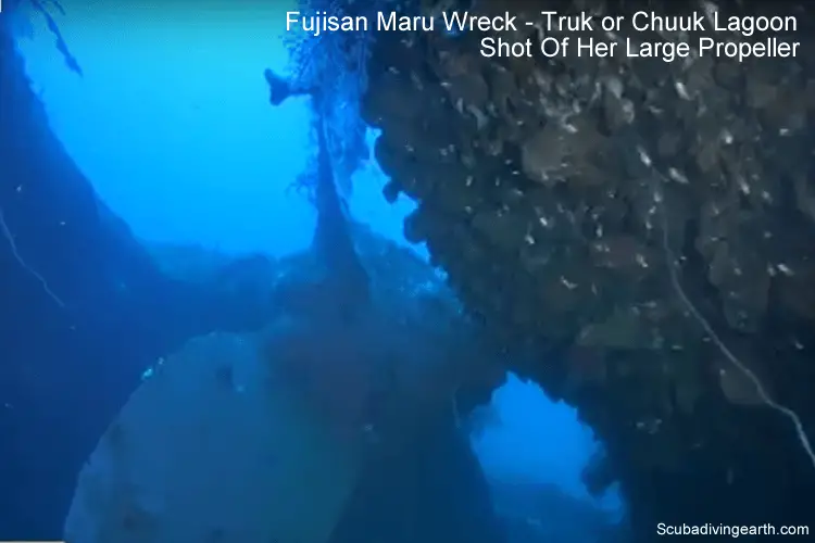 Fujisan Maru Wreck - Truk or Chuuk Lagoon Shot Of Her Large Propeller