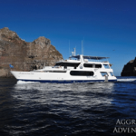 Galapagos Aggressor III Liveaboard Review small