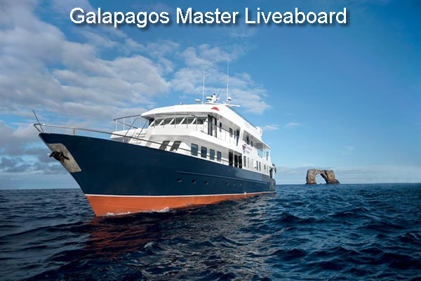 Galapagos Master Liveaboard larger