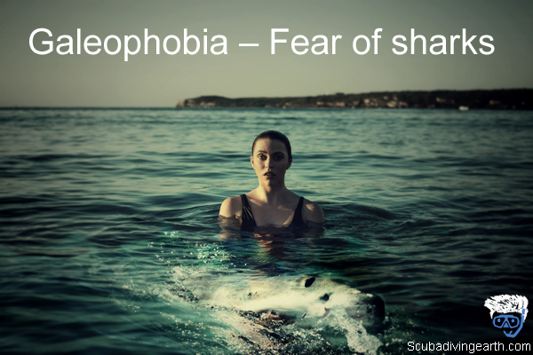Galeophobia – Fear of sharks