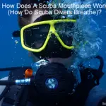 How Does A Scuba Mouthpiece Work - How Do Scuba Divers Breathe small