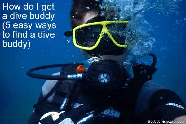 How do I get a dive buddy - 5 easy ways to find a dive buddy