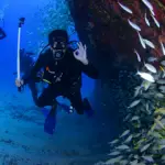 How expensive is scuba diving as a hobby small