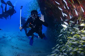 How Expensive Is Scuba Diving As A Hobby?