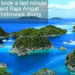 How to book a last minute liveaboard Raja Ampat cruise - Indonesia diving deals