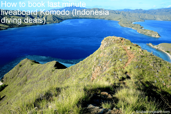 How to book last minute liveaboard Komodo - Indonesia diving deals
