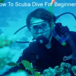 How To Scuba Dive For Beginners (7 Skills To Master As A Beginner Diver)