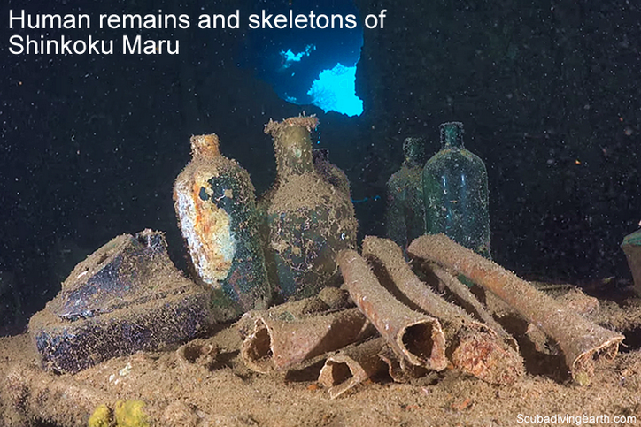 Human remains and skeletons of Shinkoku Maru