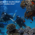 Is it dangerous to scuba dive - Can I die if I scuba dive small